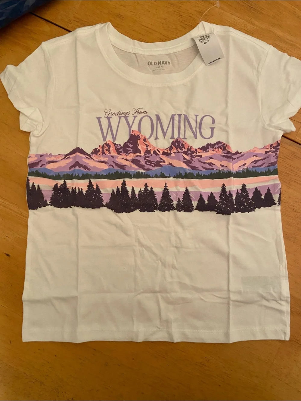 Lot of 2 Old Navy Shirts